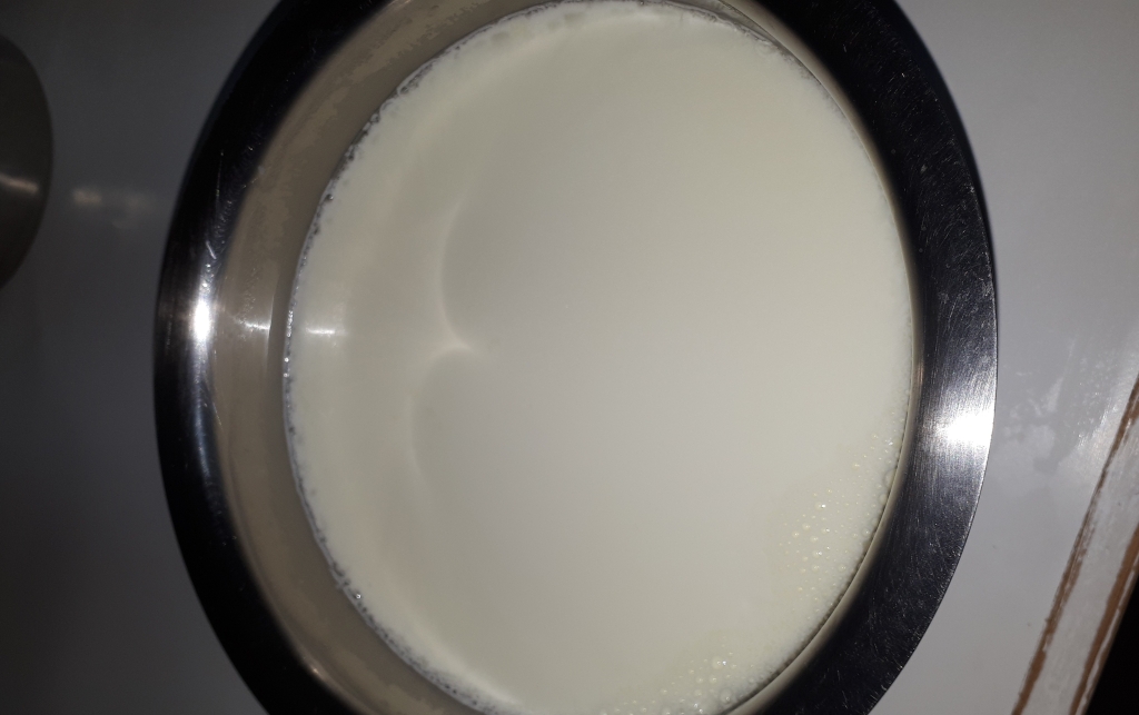 Home Made Natural Yoghurt